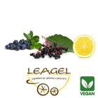 Bosbes relaxing gelato Leagel