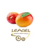 Mango alfonso Leagel
