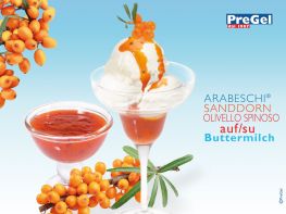 Duindoorn arabeschi Pregel