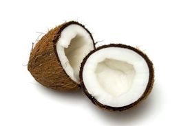 Cocosnoot N Pregel
