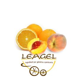 Perzik sinaasappel variegato Leagel