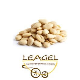 WITTE AMANDEL Leagel